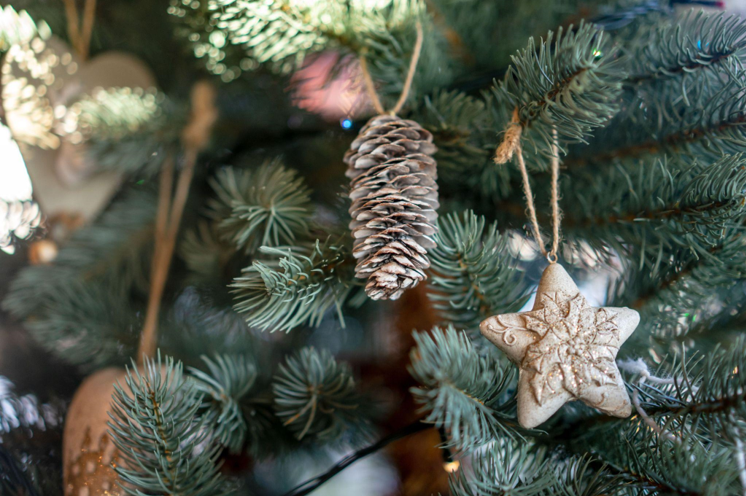 Discover Bolivia's Adventure-filled Christmas with Artificial Christmas Trees